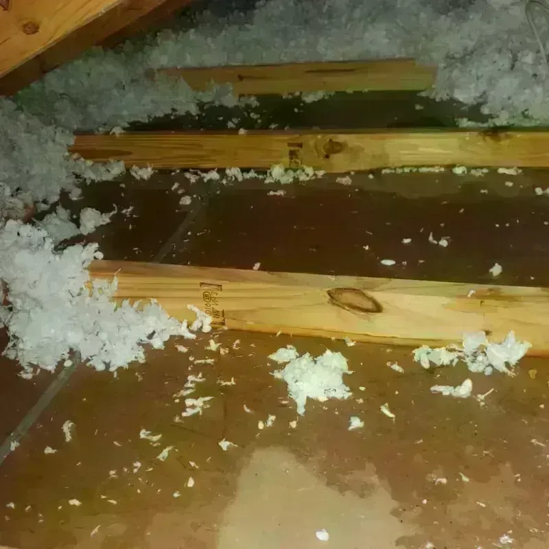 Attic Water Damage in Stratford, OK